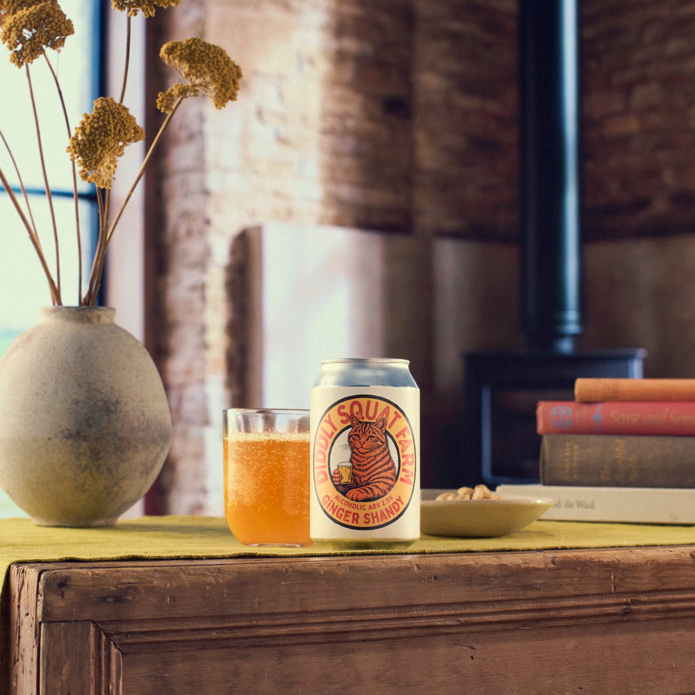 Ginger Shandy x 12 - 330ml, 2.5% ABV