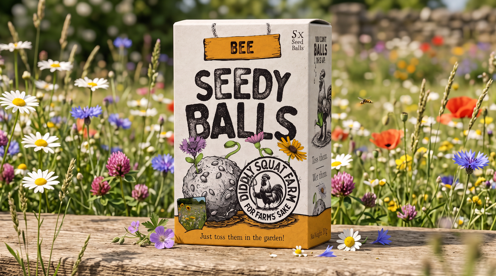 Seedy Balls Bee