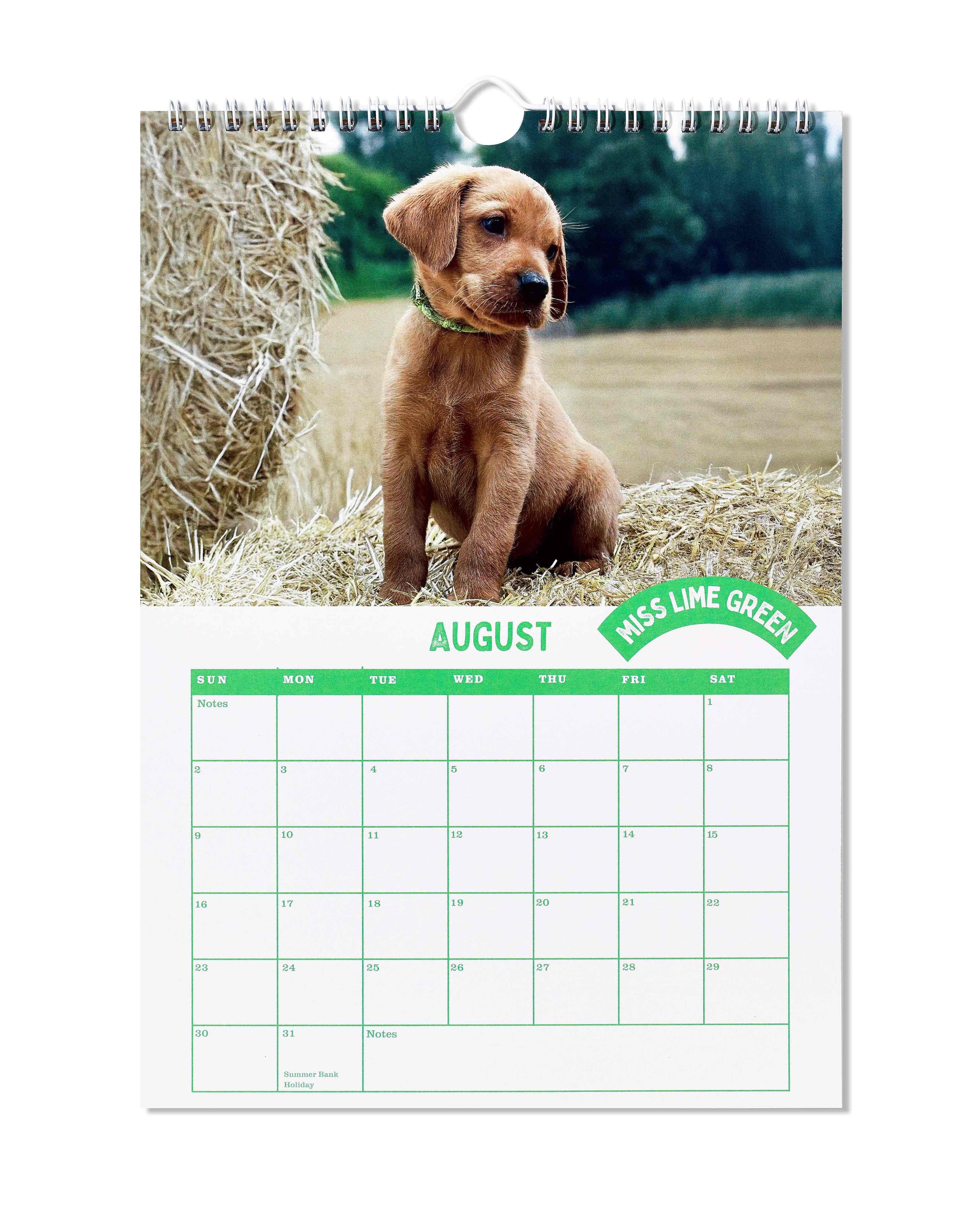 Puppies of Diddly Squat Farm 2026 Calendar