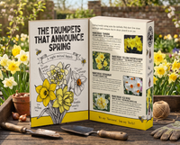 Daffodils Mix