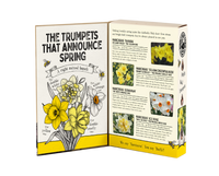 Daffodils Mix