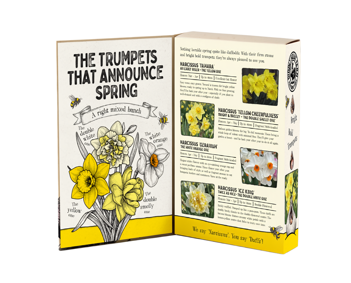 Daffodils Mix