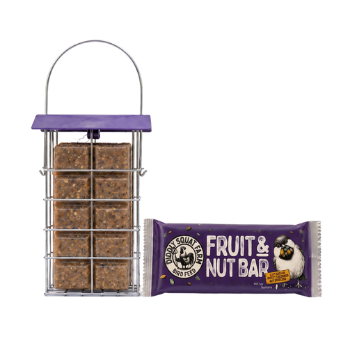 Suet Bird Feeder & Bar