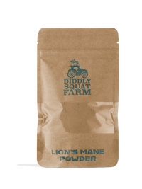 Lion’s Mane Powder