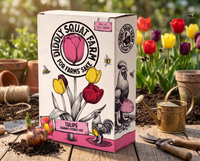 Tulip Mix