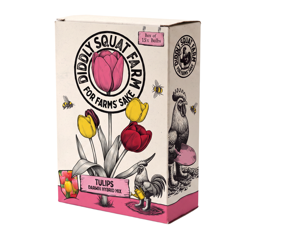 Tulip Mix