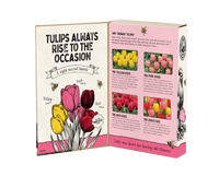 Tulip Mix