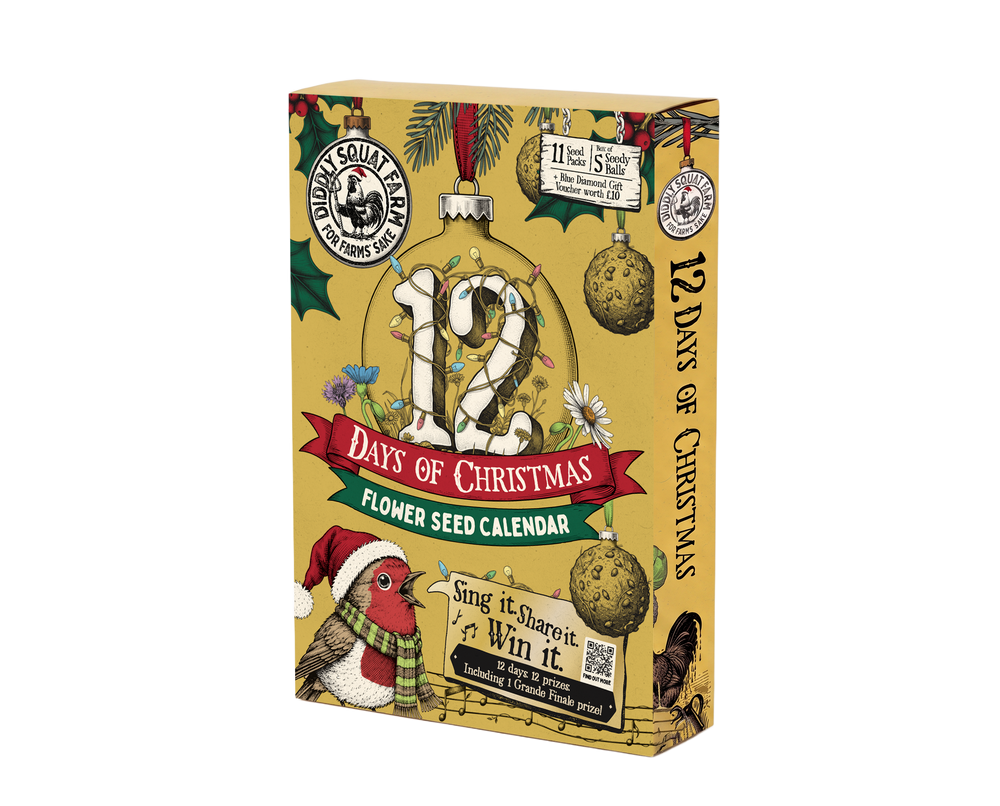 12 Days of Xmas Seed Calendar
