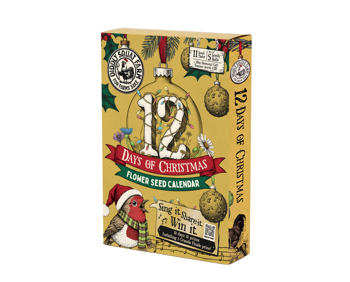 12 Days of Xmas Seed Calendar