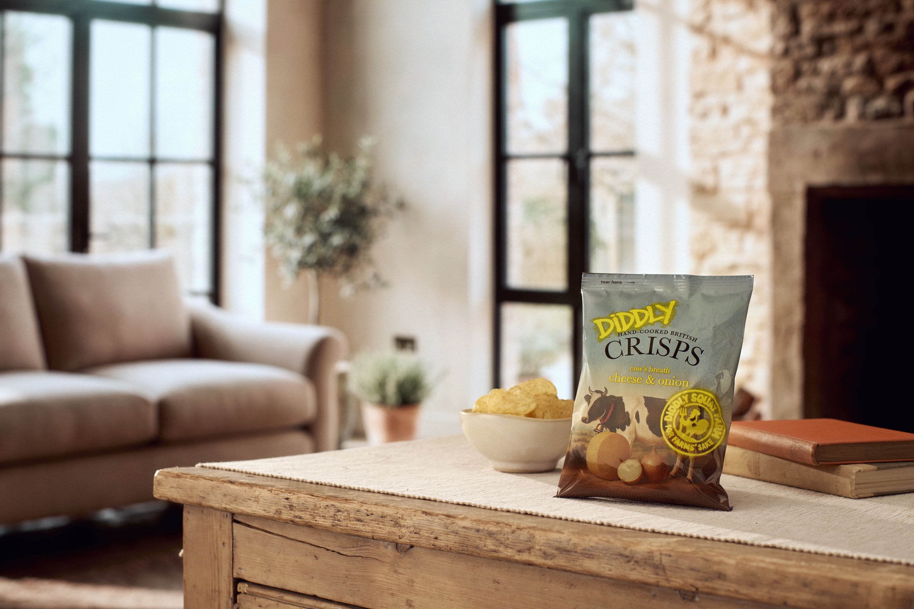 1 x 40g pack of Cheese & Onion Crisps