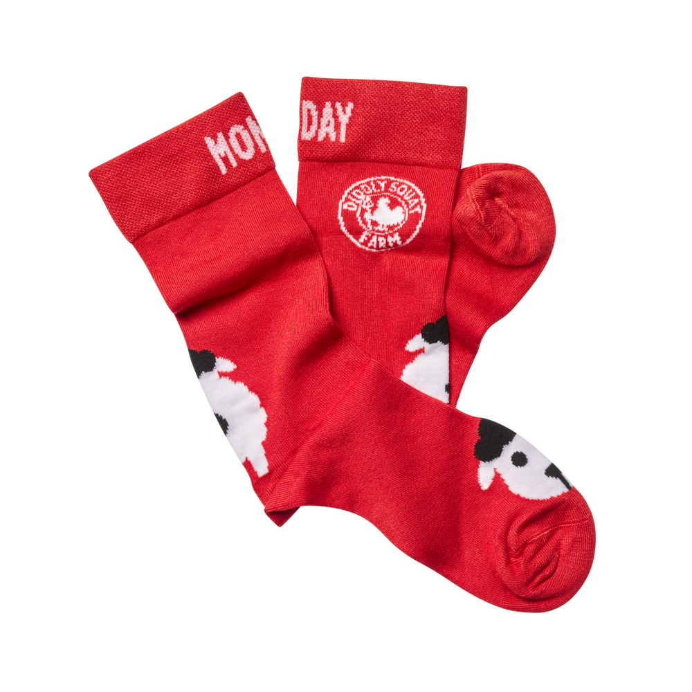 Socks: 7 Days Of The Week (7 x pairs)