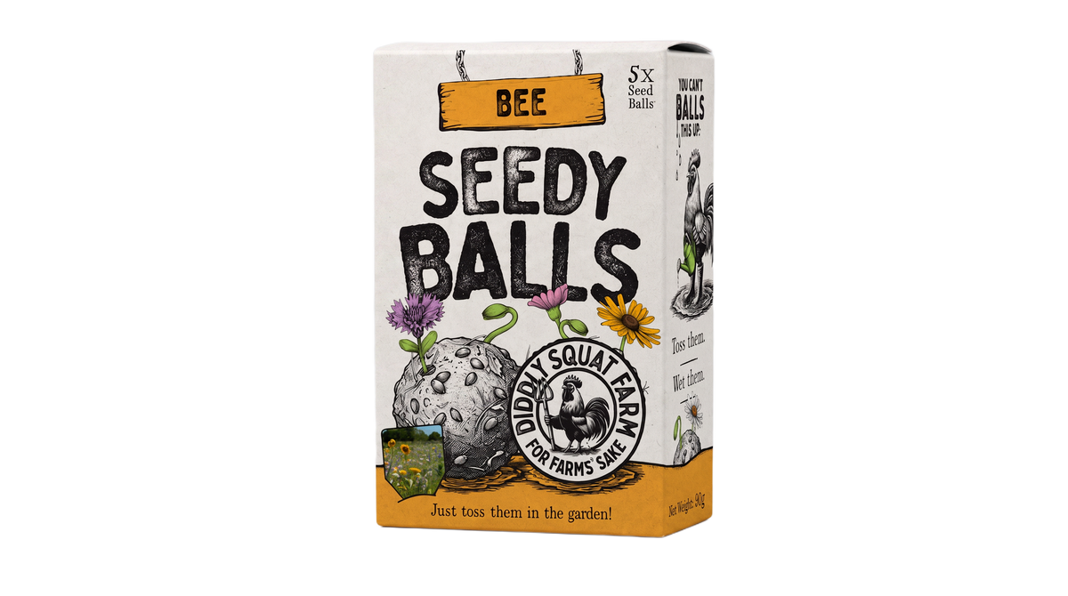 Seedy Balls Bee