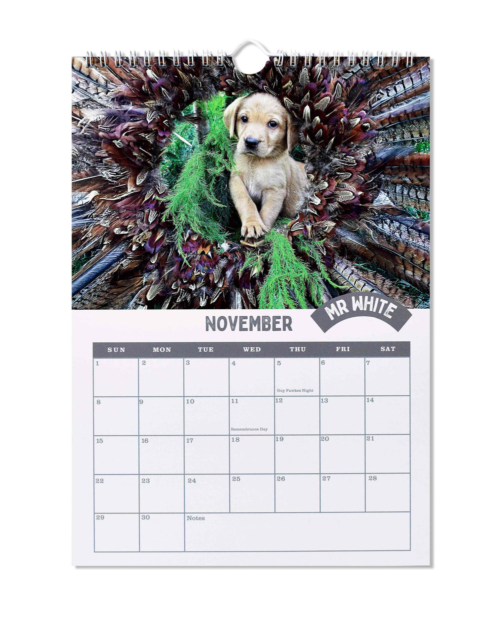 Puppies of Diddly Squat Farm 2026 Calendar