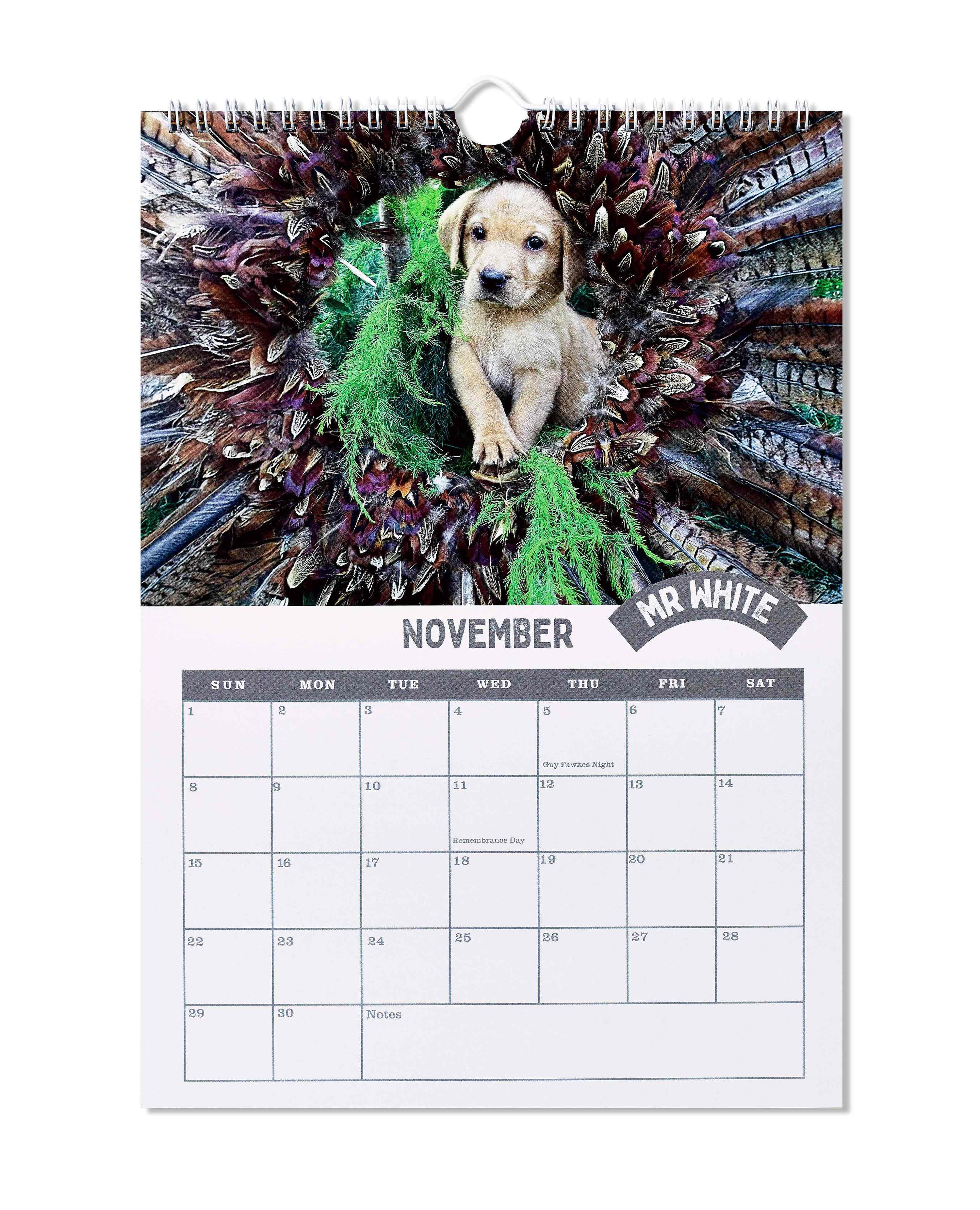 Puppies of Diddly Squat Farm 2026 Calendar