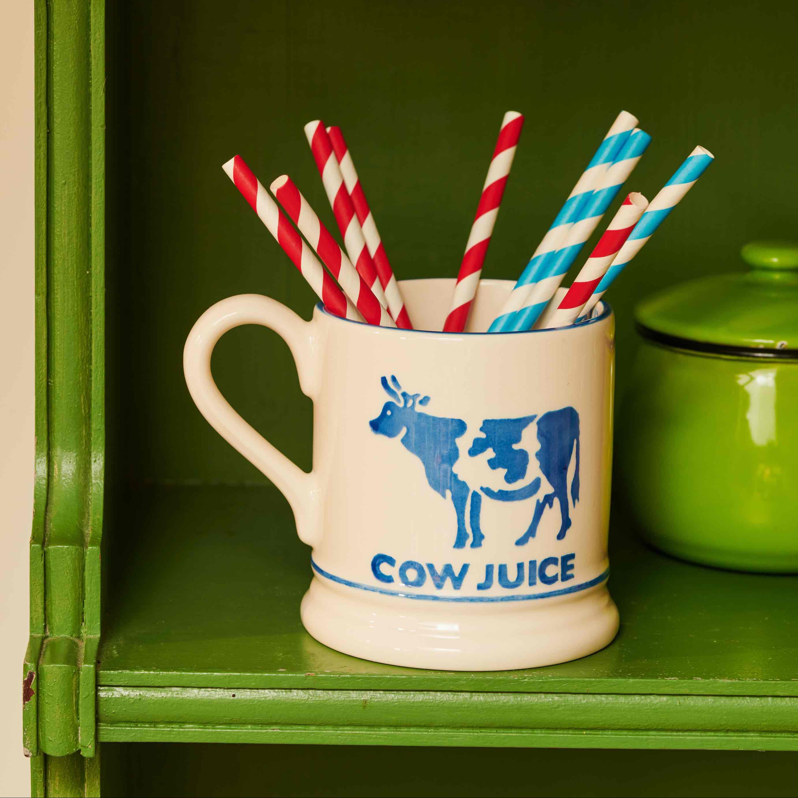 Emma Bridgewater x Diddly Squat Mugs