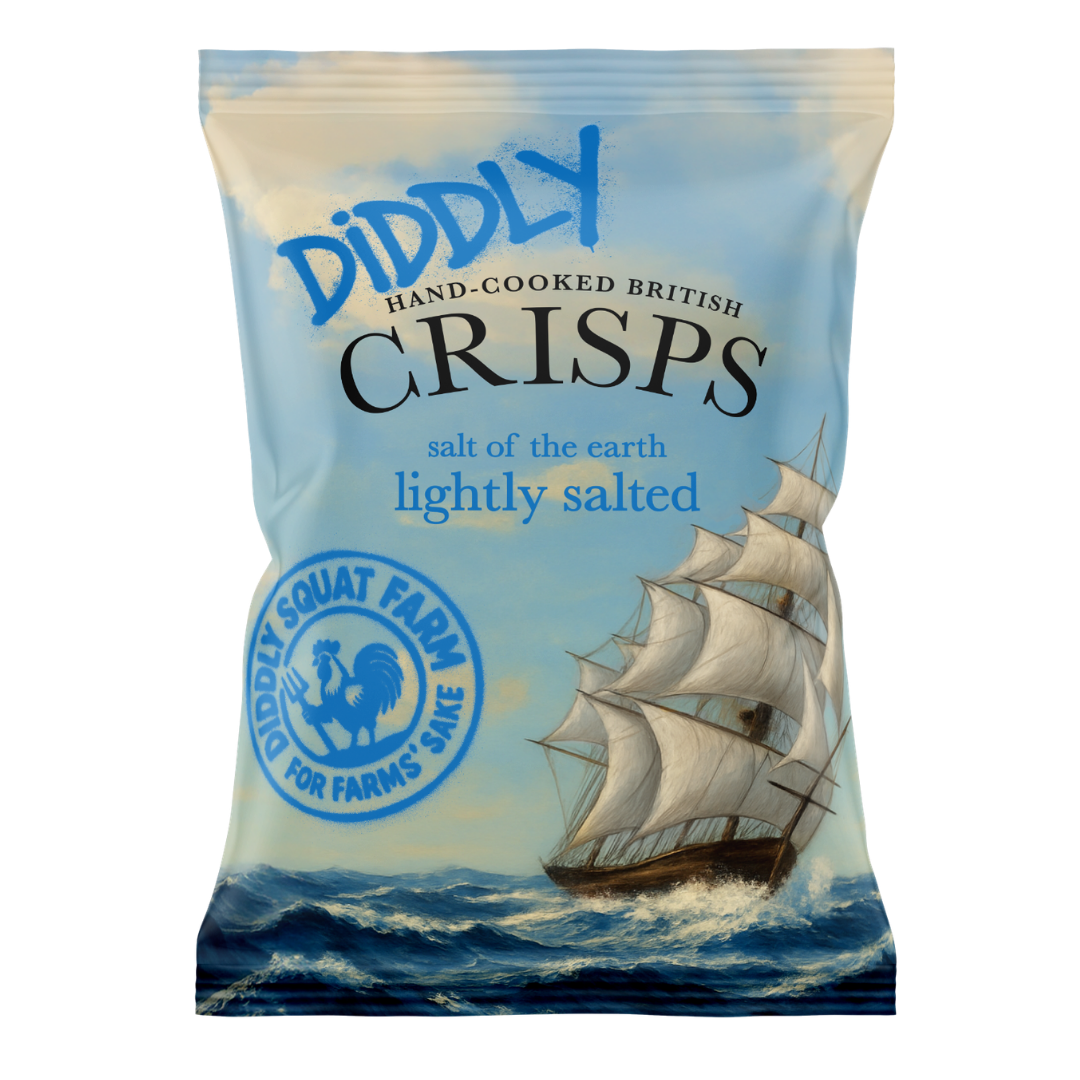 1 x 40g pack of Salted Crisps