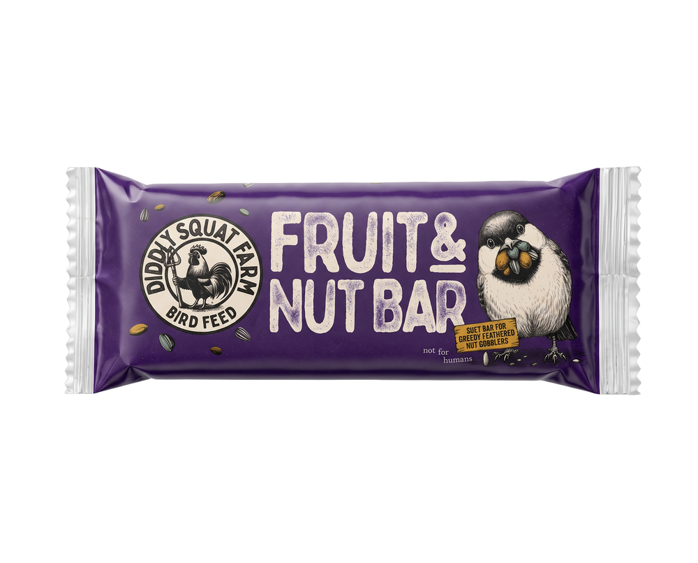 Suet Bird Feeder & Bar
