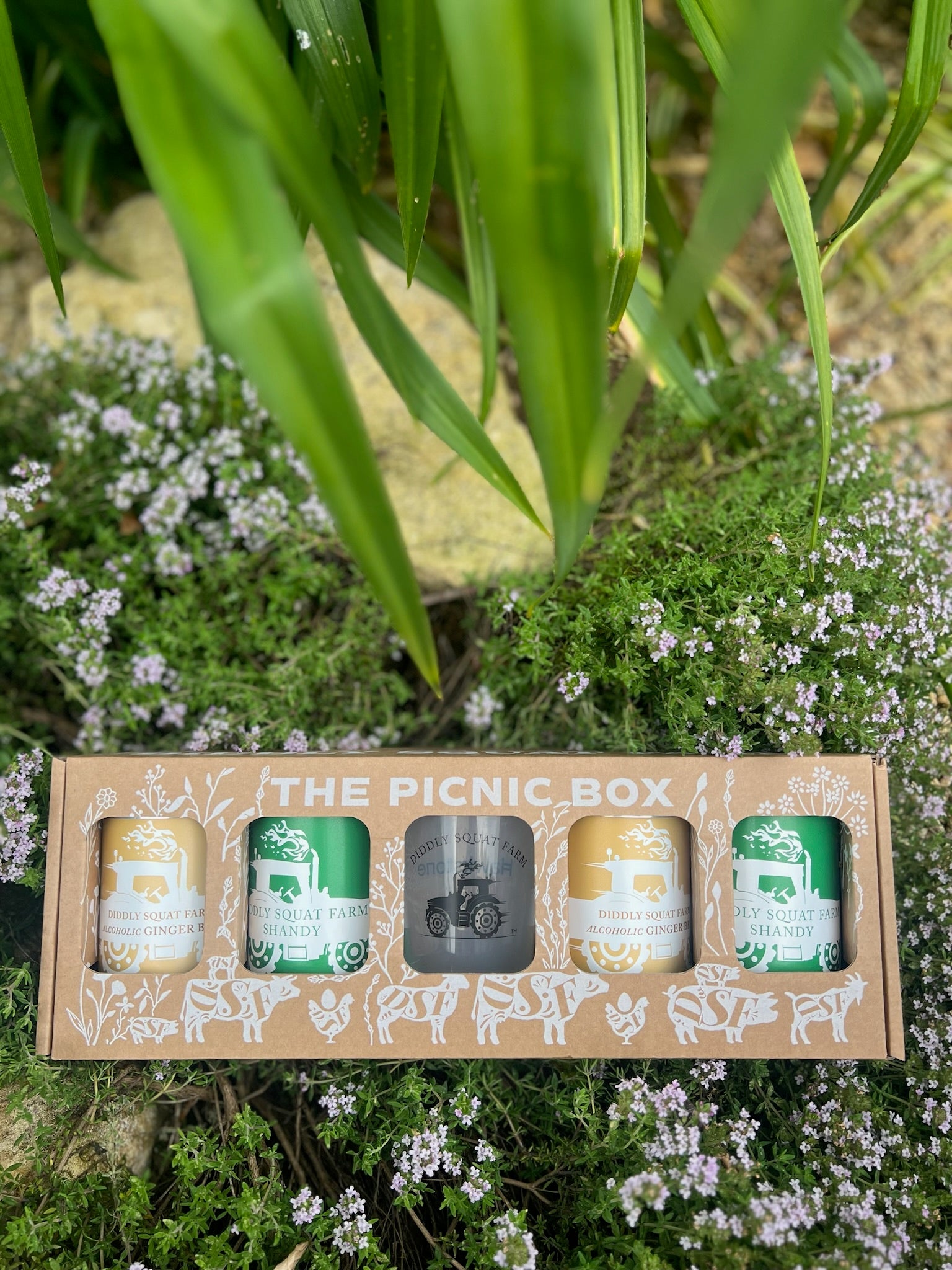 Shandy Gift Set