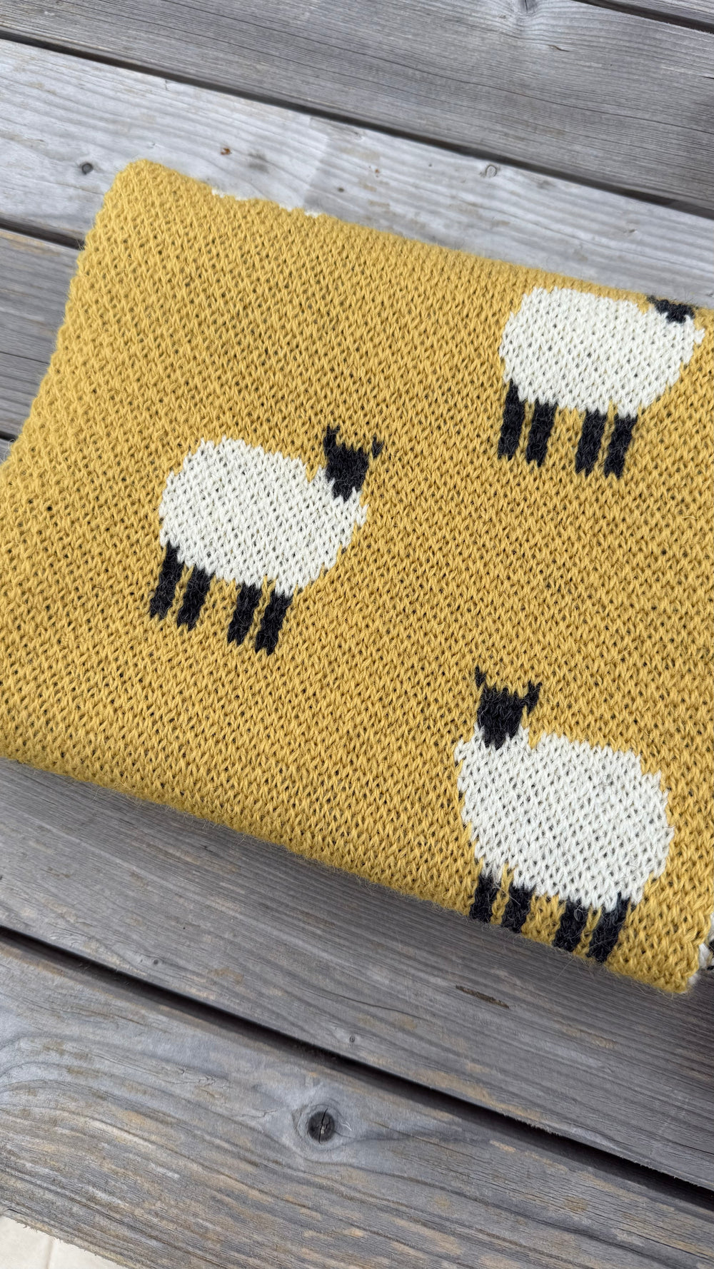 Mustard Sheep Knit Scarf