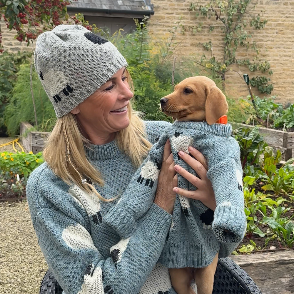 Blue Sheep Knit Jumper