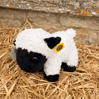 Lisa's Sheep Soft Toy