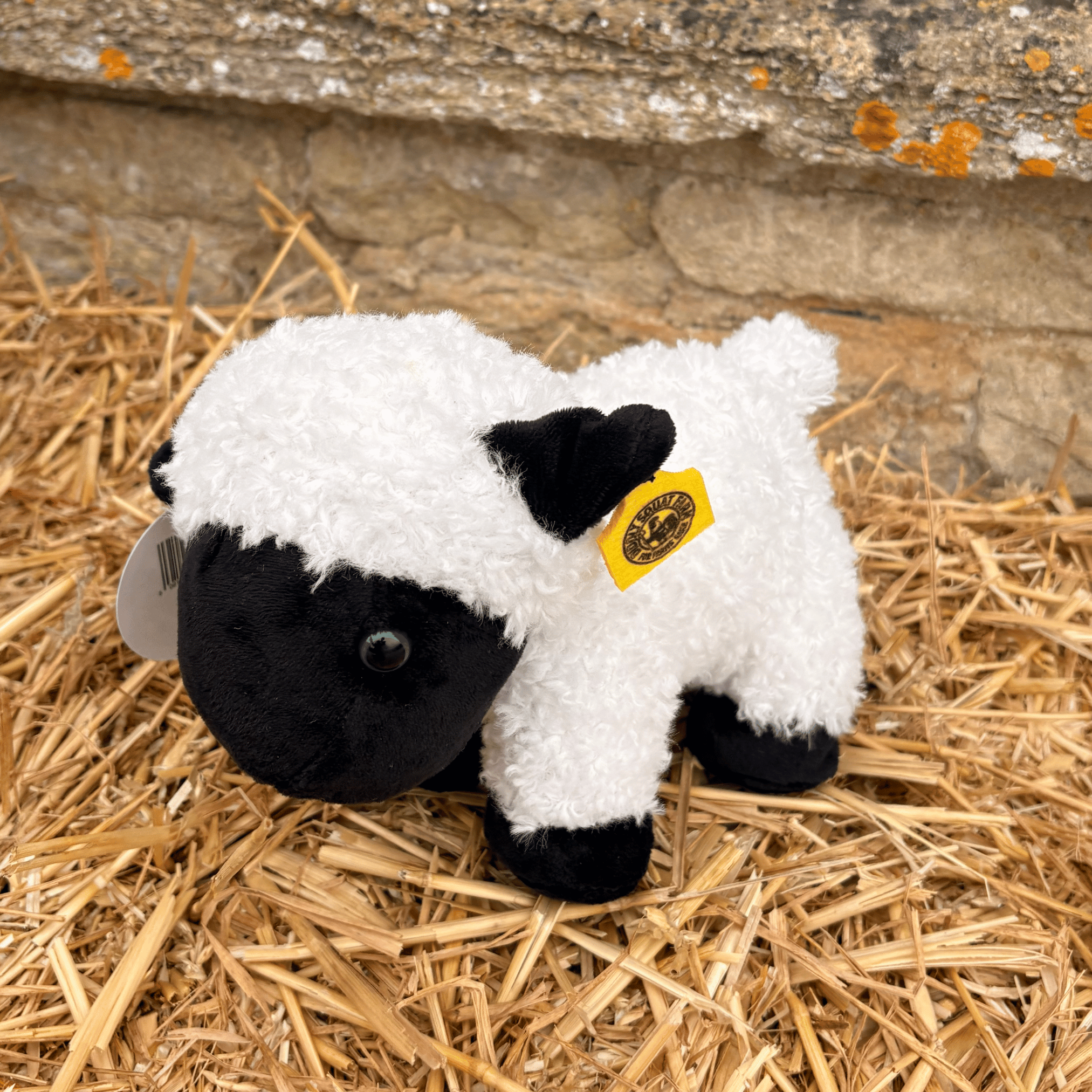 Lisa's Sheep Soft Toy