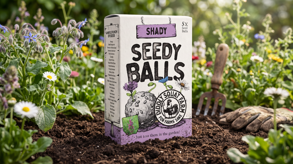 Seedy Balls Shady