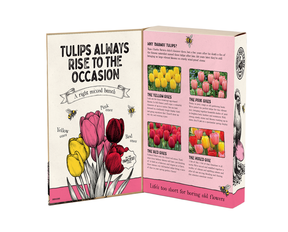 Tulip Mix