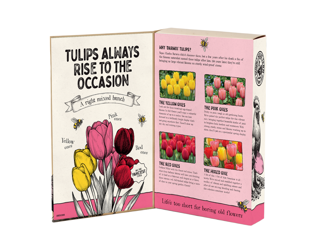 Tulip Mix