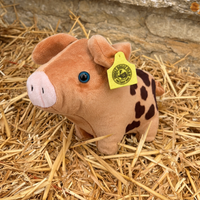 Richard Ham Soft Toy