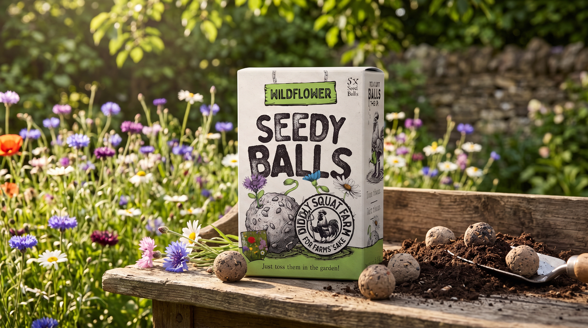 Seedy Balls Wildflower
