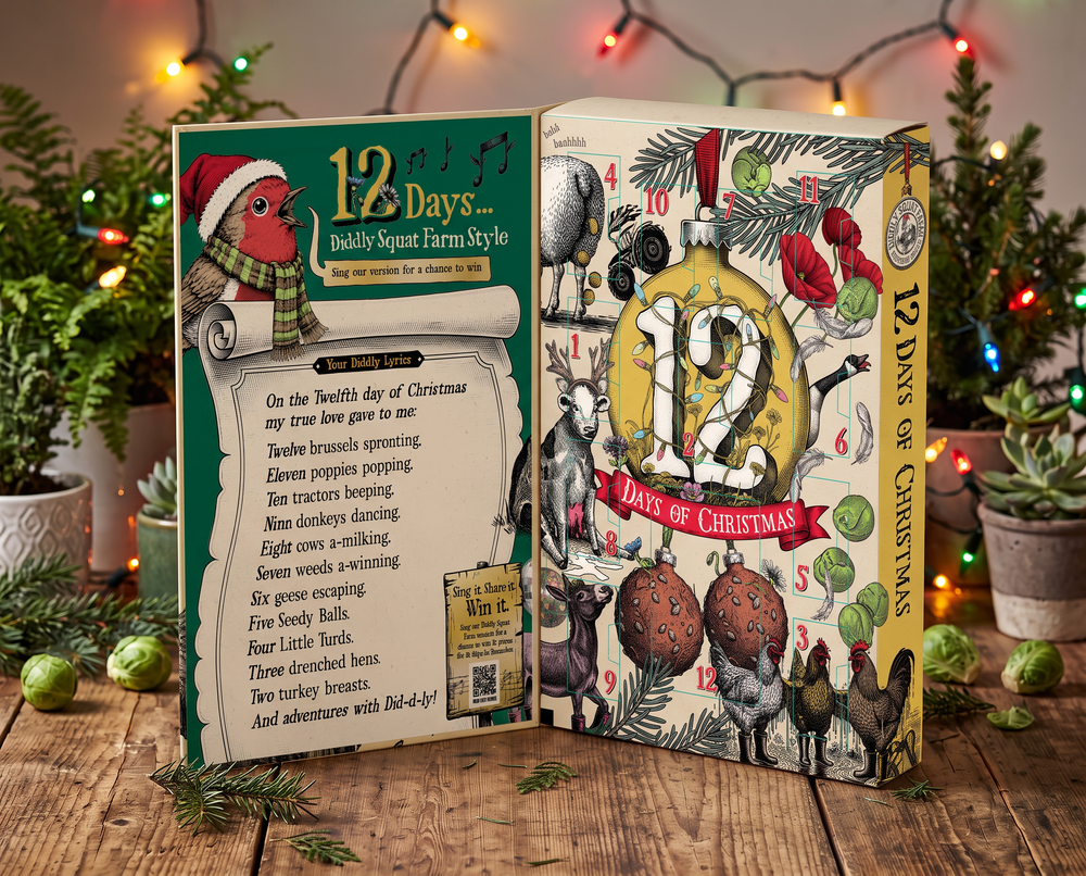 12 Days of Xmas Seed Calendar
