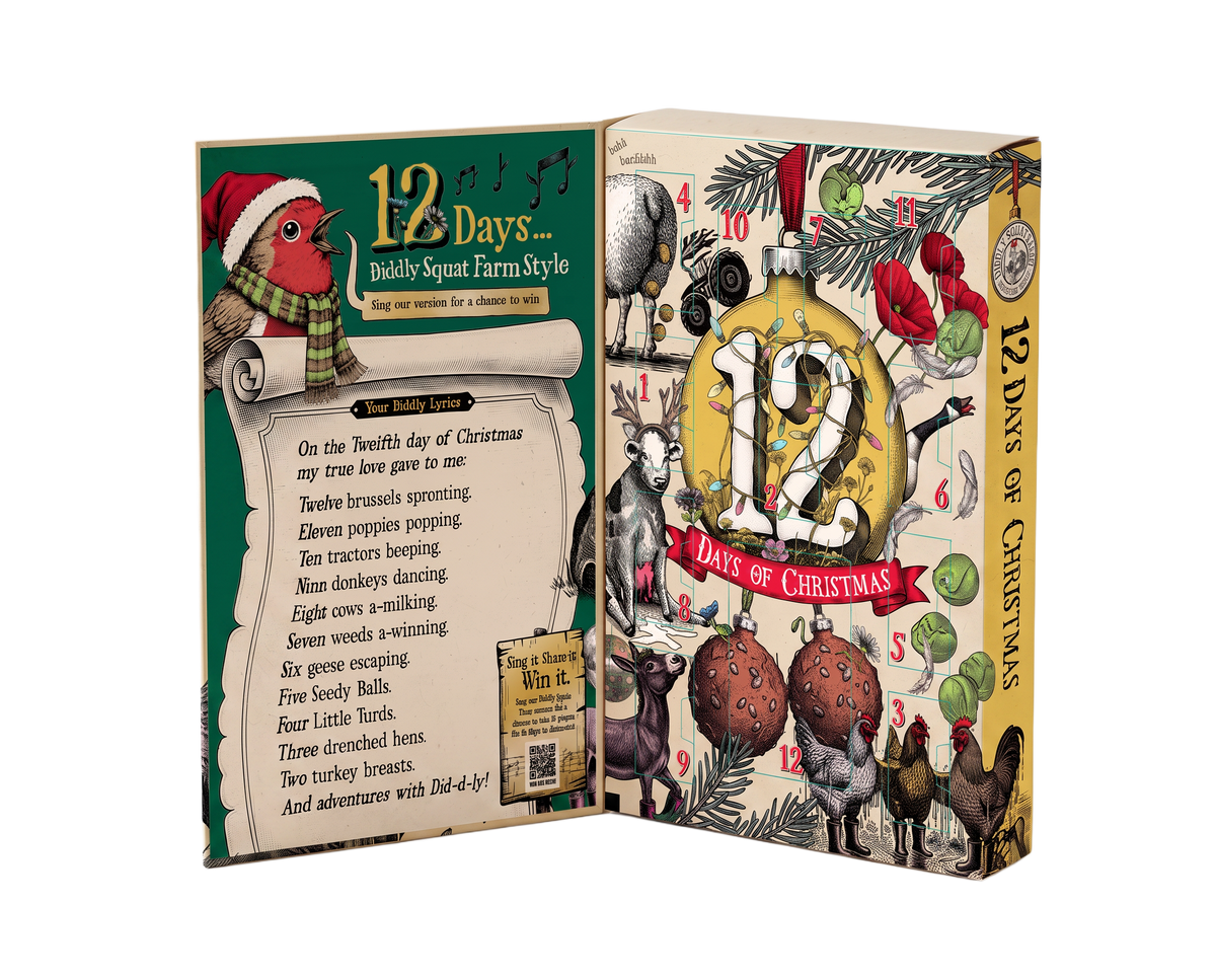 12 Days of Xmas Seed Calendar