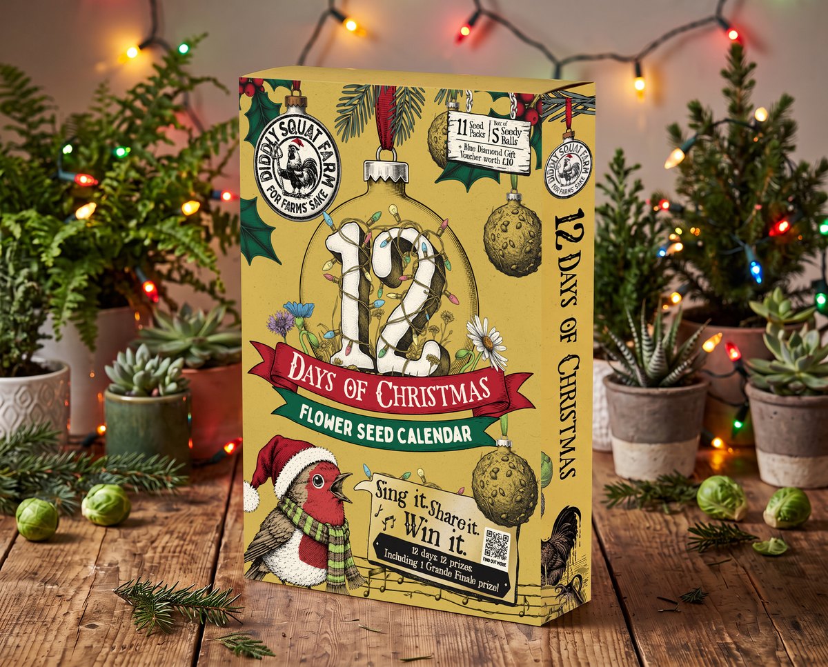12 Days of Xmas Seed Calendar