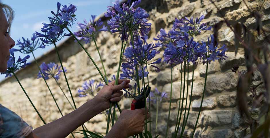 floewrs 2000x 3e02ecc8 7525 4943 9405 95a42f91ee39