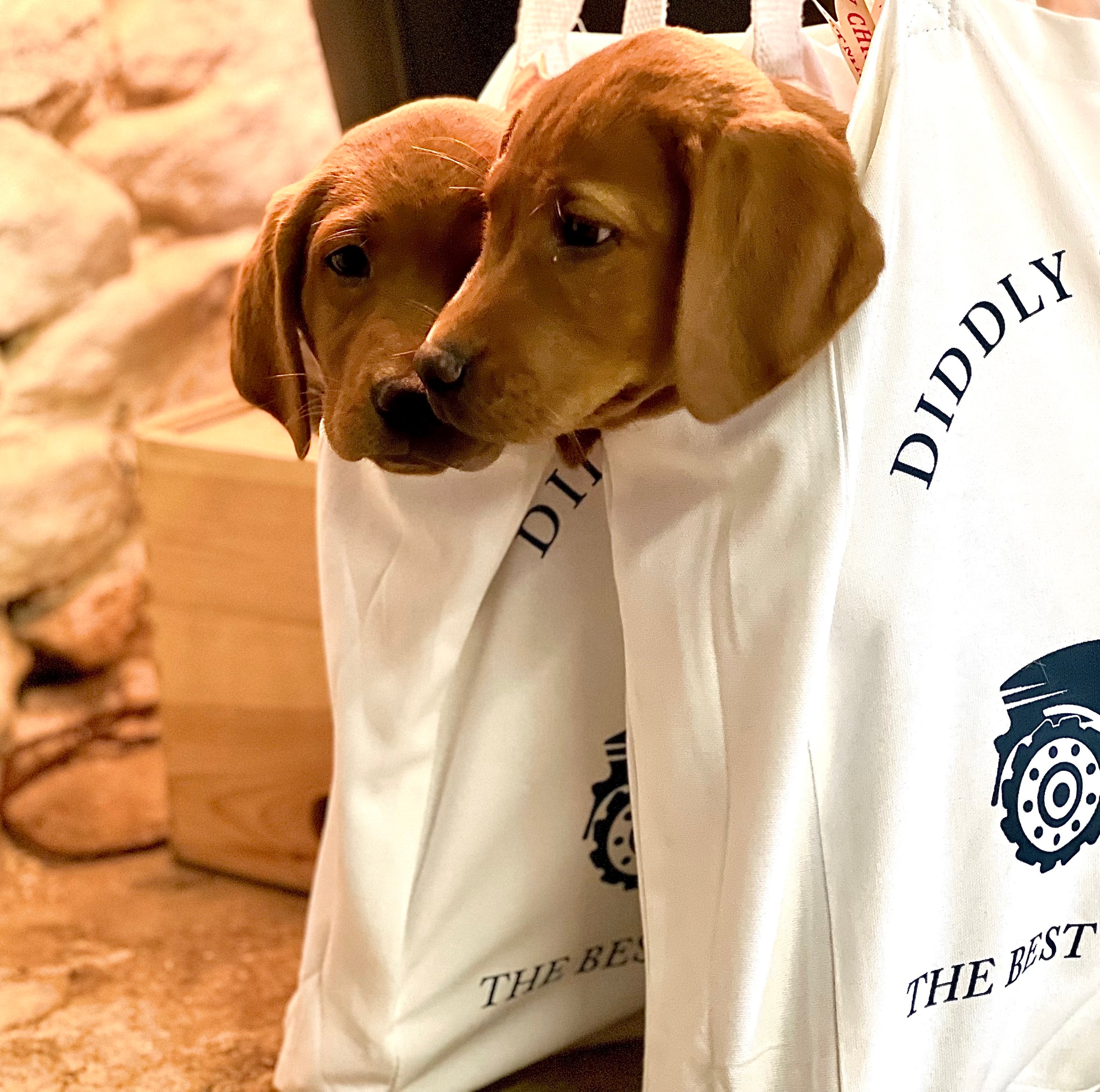 The Best Tractor Tote Bag