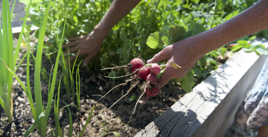 slide img1 2000x 8209a6ea 4d31 433e bc53 b0cfd7e54dc6