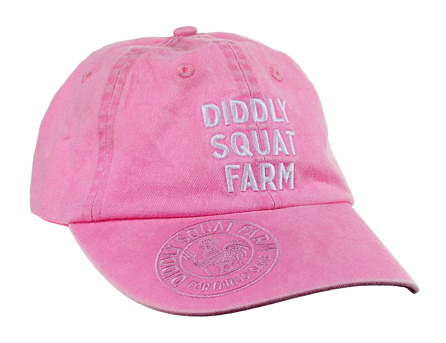DSF Cap - Pink