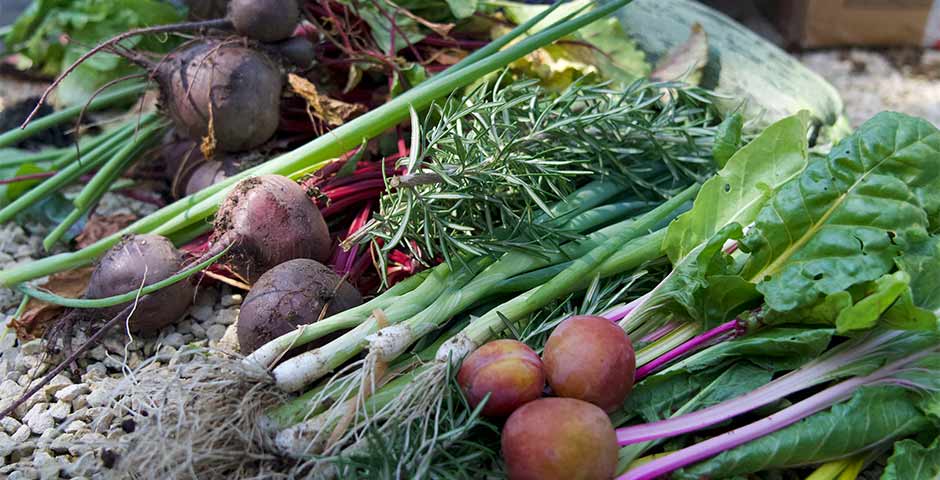 veggies 2000x 69249ffd 89ce 4b7e a93f 9574681d3585